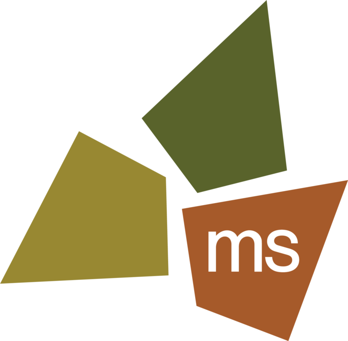 Ms Logo Color Solid Transparent No Words 1