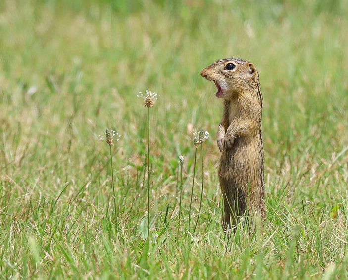 May 19 2025 Int Adv Salon Web 01