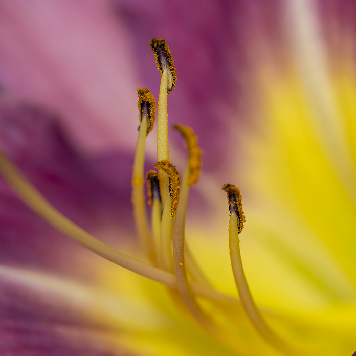 May 19 2025 Beginner Salo Web 01