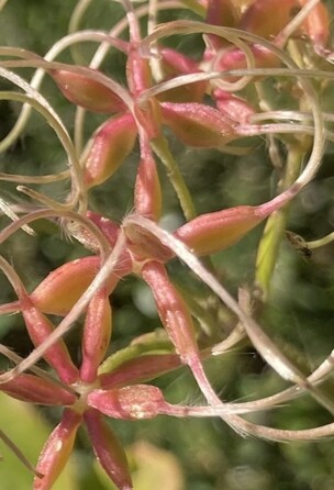 May 19 2025 Beginner Salo Web 01